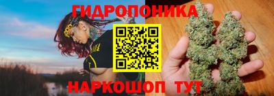 PSILOCYBIN Свободный