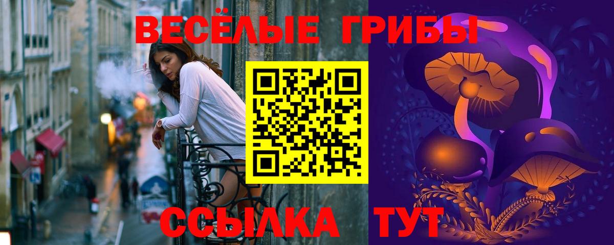 Новосибирск  Псилоцибиновые грибы GOLDEN TEACHER  Вход с VPN 